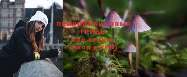 Альфа ПВП Алзамай