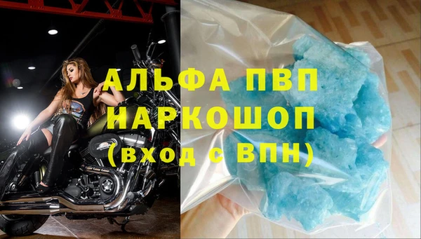 2c-b Новозыбков