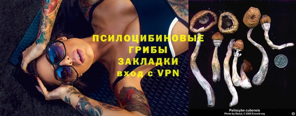 Альфа ПВП Алзамай